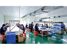 QC and Packing